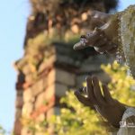 Lagrimas SSM JLM25 19